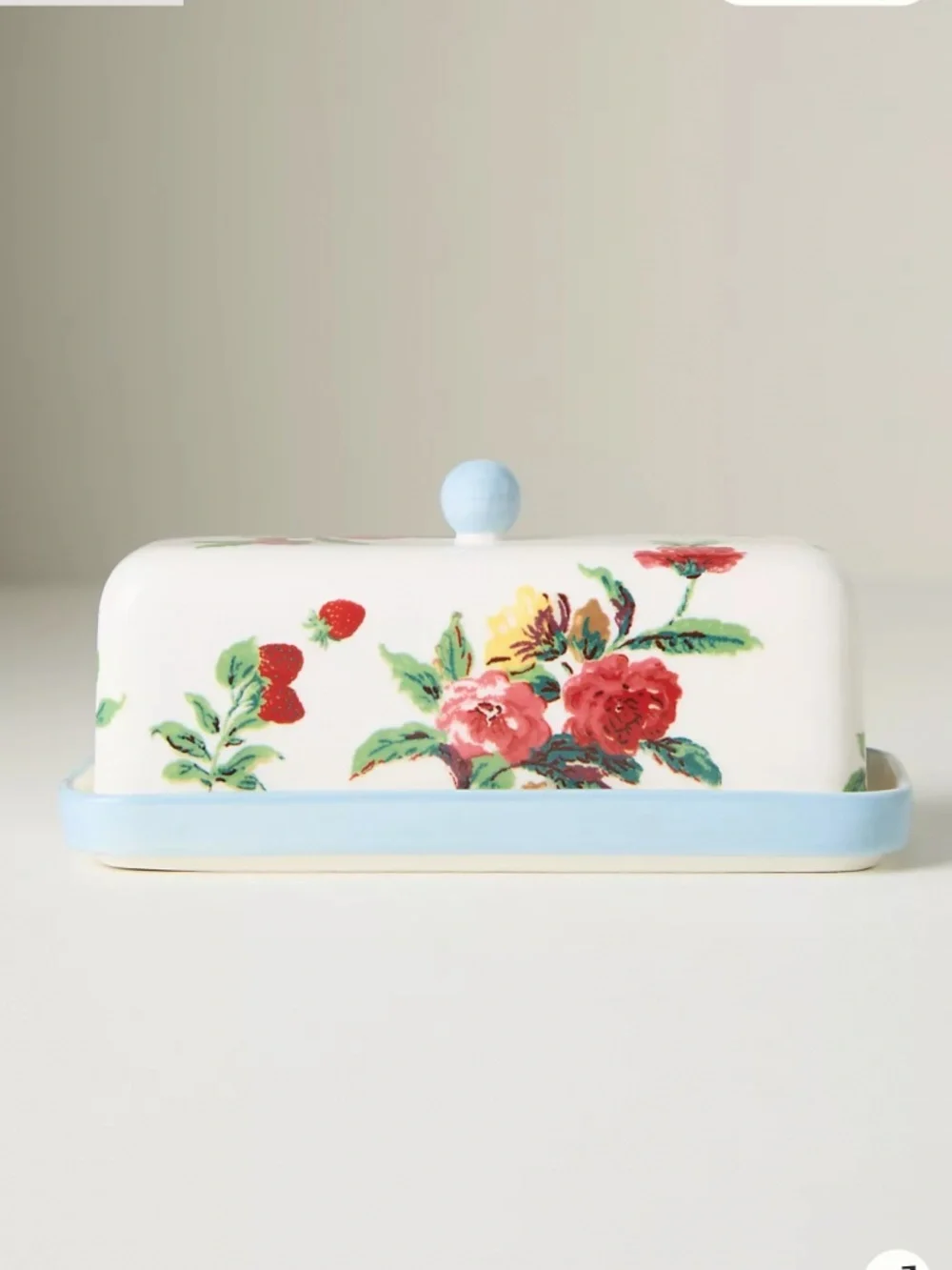 Anthropologie 